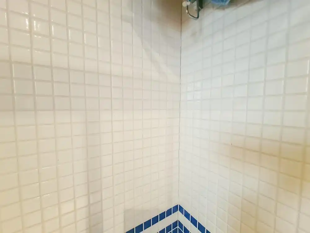 Vivienda con piscina en venta en Calle ALBARDIN, imagen 38