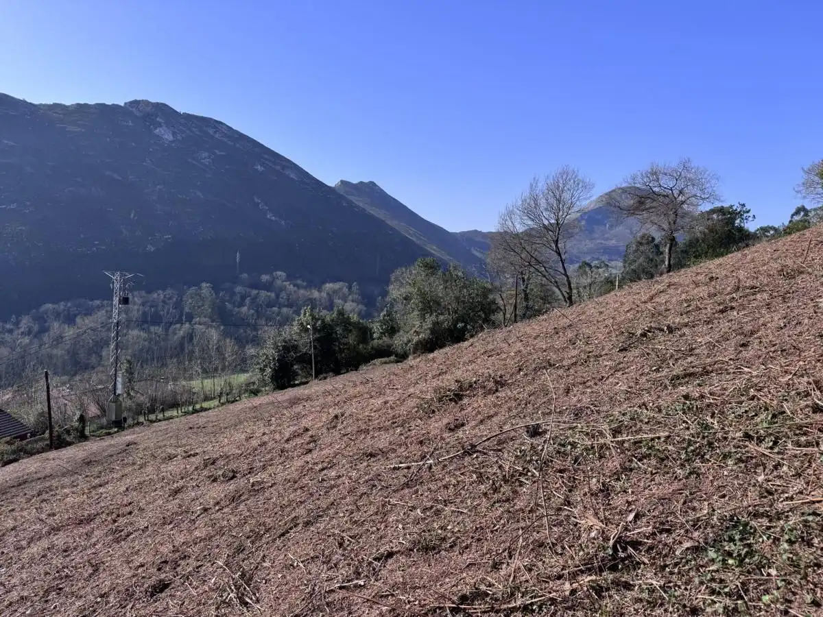 Grundstücke und Bauplätze zum Verkauf in Vibaña - Ardisana - Caldueño, imagen 20