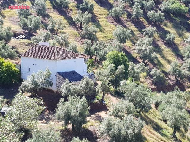 Finca rústica en Venta en Villanueva de Córdoba