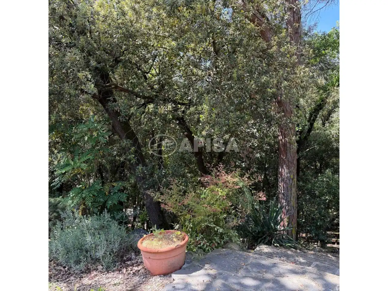 Jardín de Residencial en venta en Sant Pere de Vilamajor