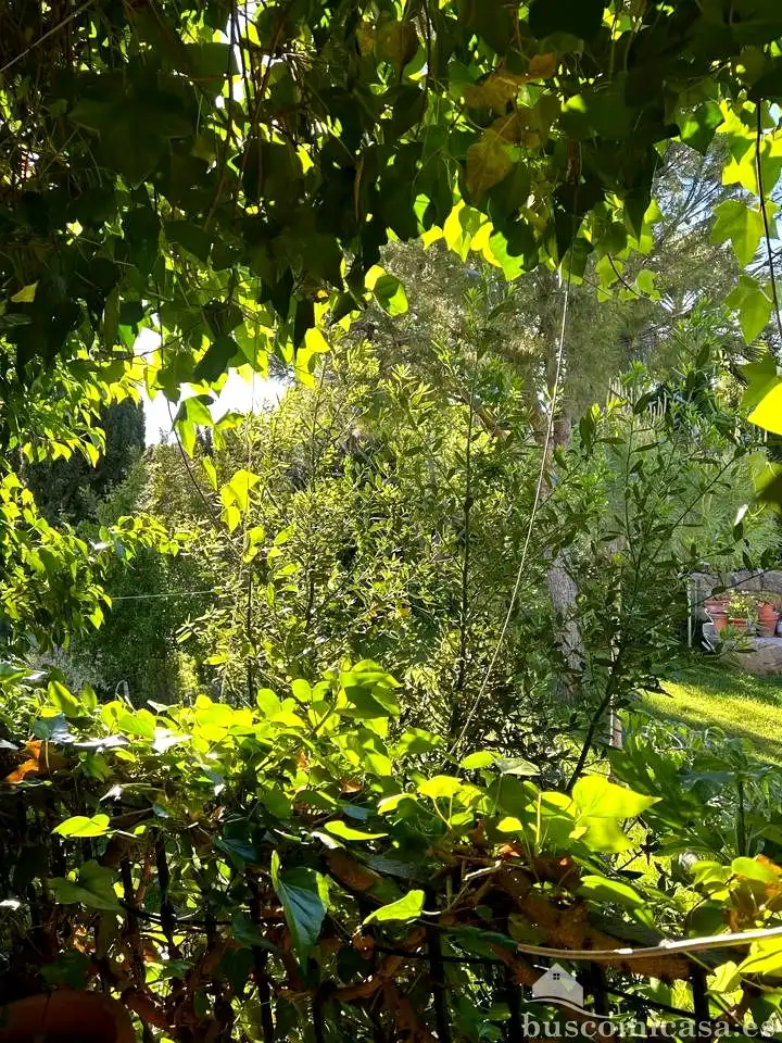 Casa adosada en venda en Linares amb Aire condicionat, Jardí privat i Terrassa