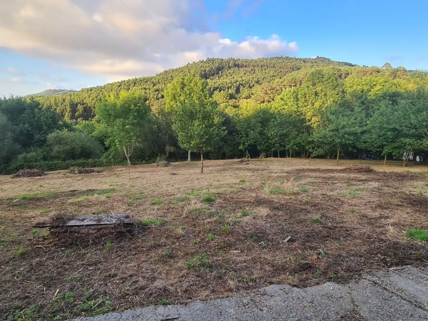 Terreno en venta en Bakio