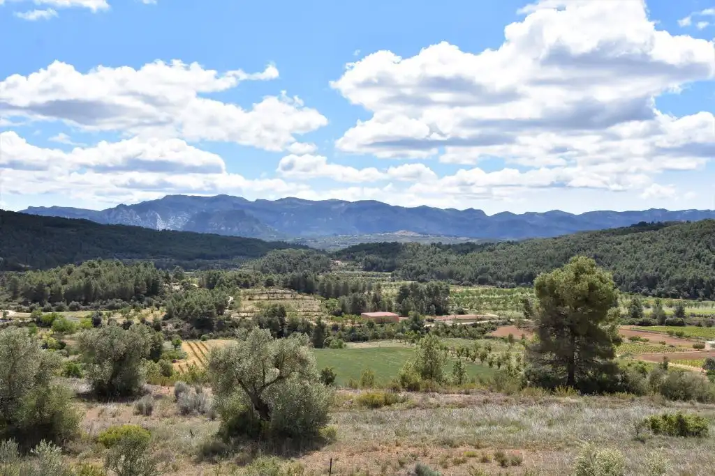 Terreni e lotti in vendita a Arens de Lledó, imagen 12
