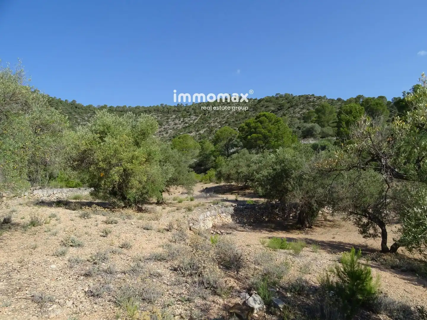Terrain résidentiel à vendre à 13, imagen 9
