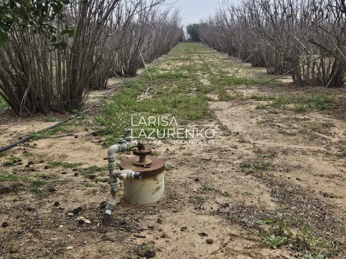 Finca rústica en venda en Riudoms
