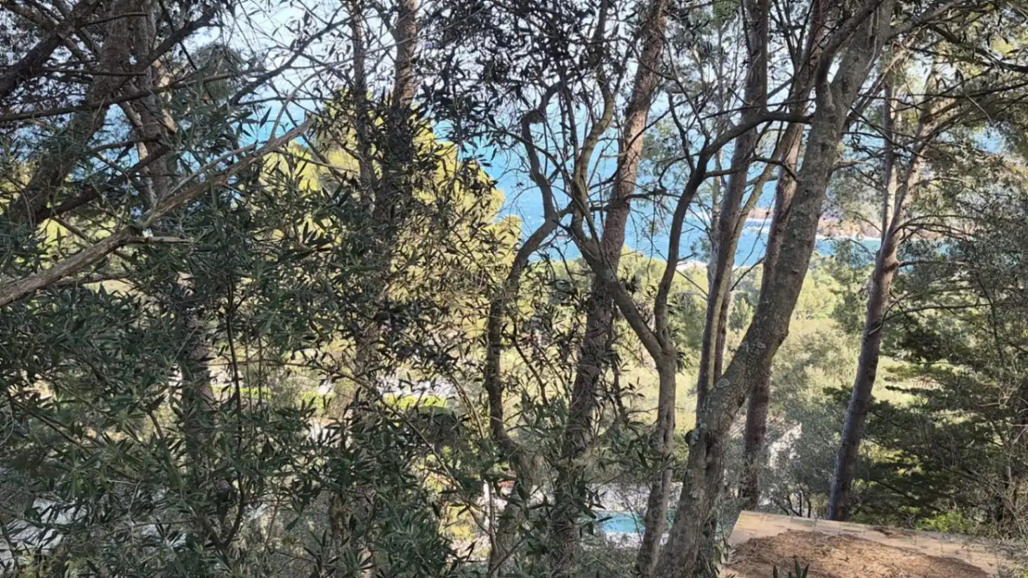 Jardí de Residencial en venda en Begur