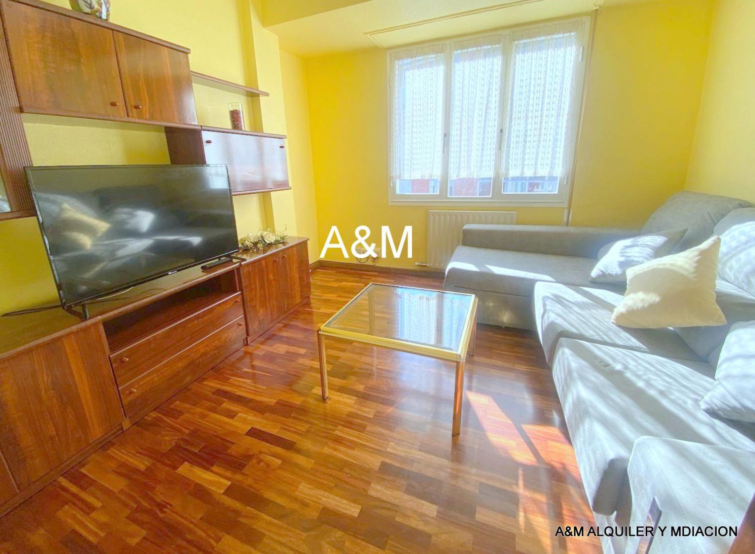 Living room of Flat to rent in Vitoria - Gasteiz  with Heating, Furnished and Balcony