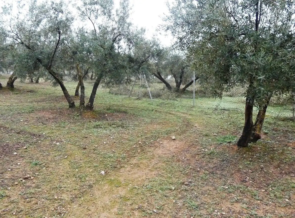 Terrain rustique à vendre à Peligros, imagen 20