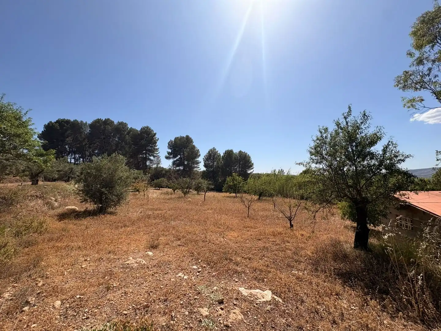 Finca rústica en venda en Biar amb Terrassa