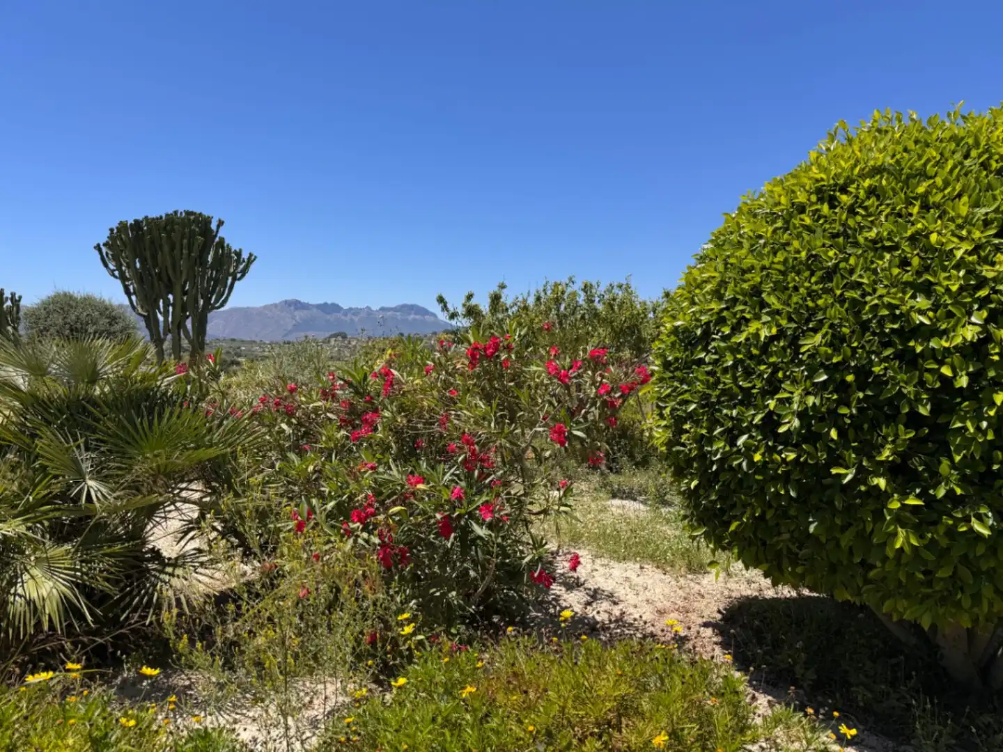 Jardín de Finca rústica en venta en Benissa con Aire acondicionado, Calefacción y Jardín privado