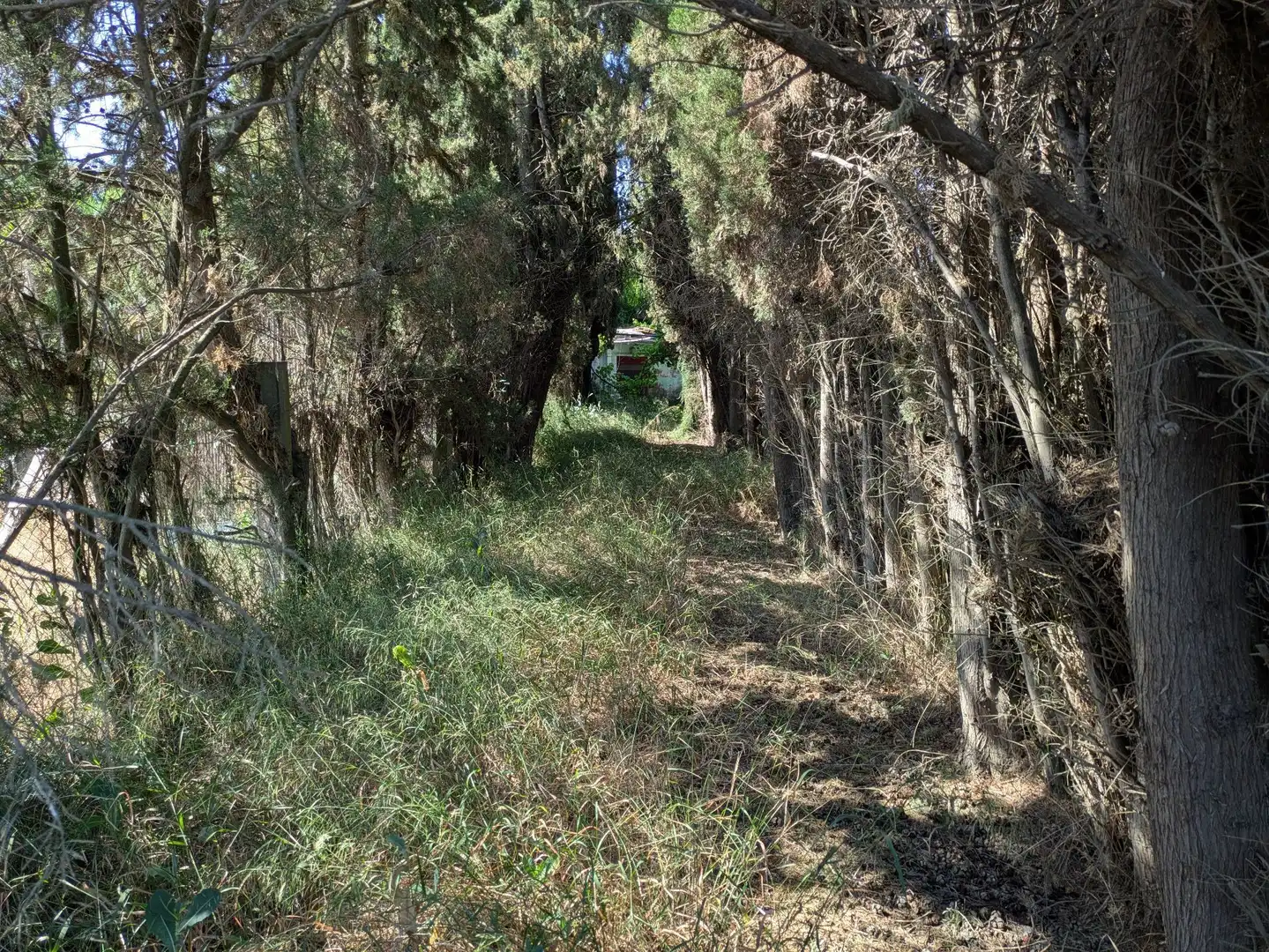 Land for sale in Castejón del Puente