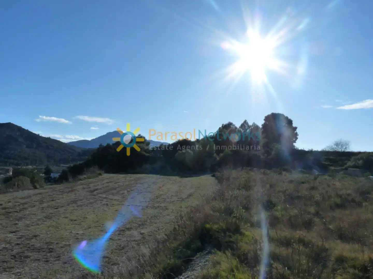 Terreny rústic en venda a Castelló de Rugat, imagen 4