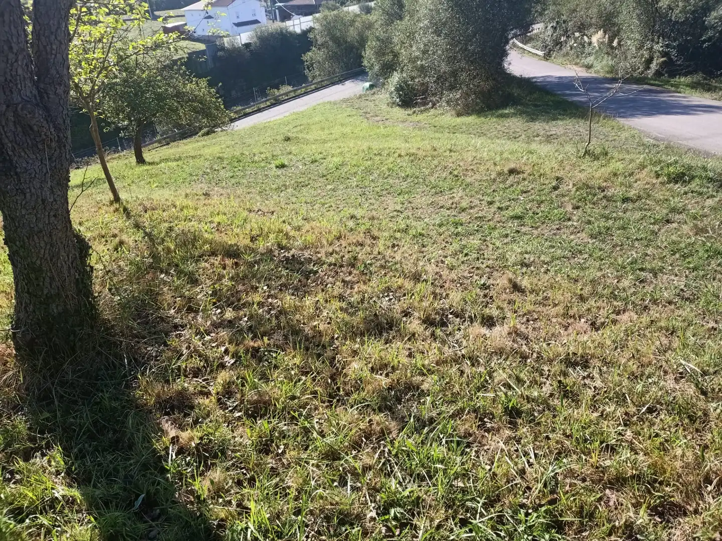 Terrain rustique à vendre à Barrio Cenero Urbano 10A, imagen 8