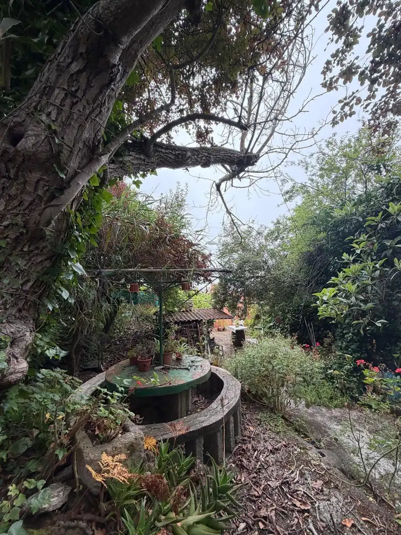 Terreno rustico in vendita a El Bebedero - Pinolere - Aguamansa, imagen 44
