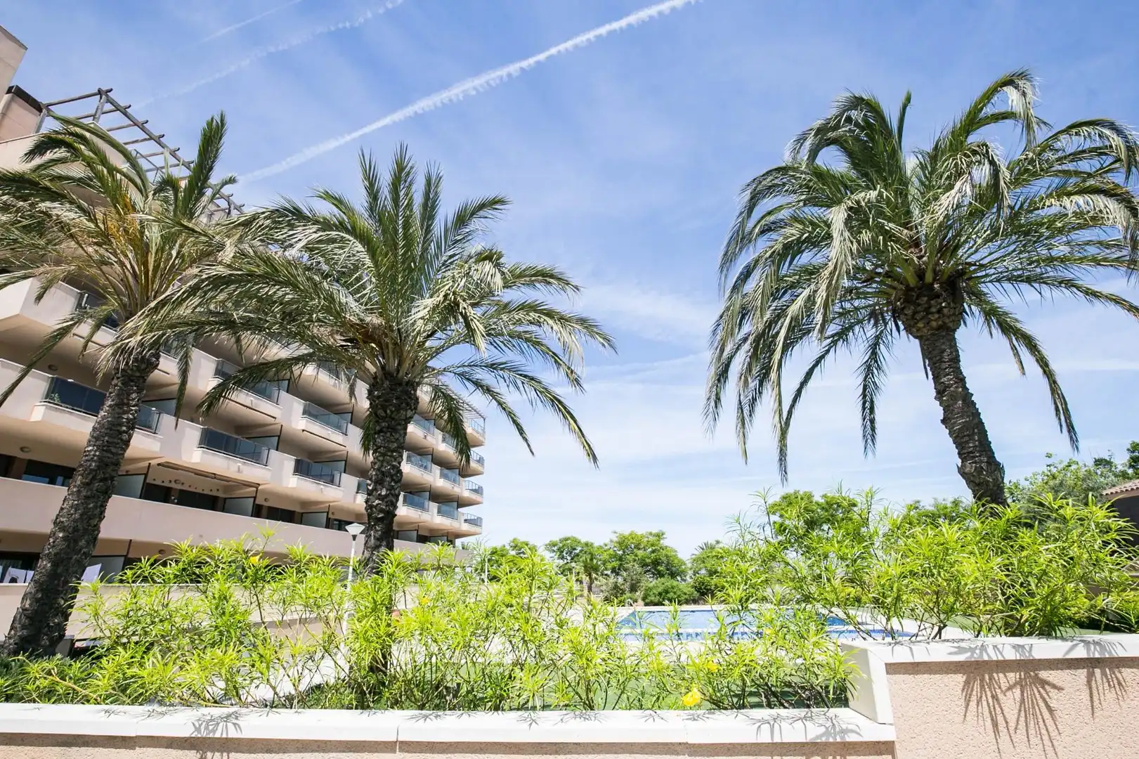 Piscina de Apartament en venda en Elche / Elx amb Aire condicionat, Calefacció i Terrassa