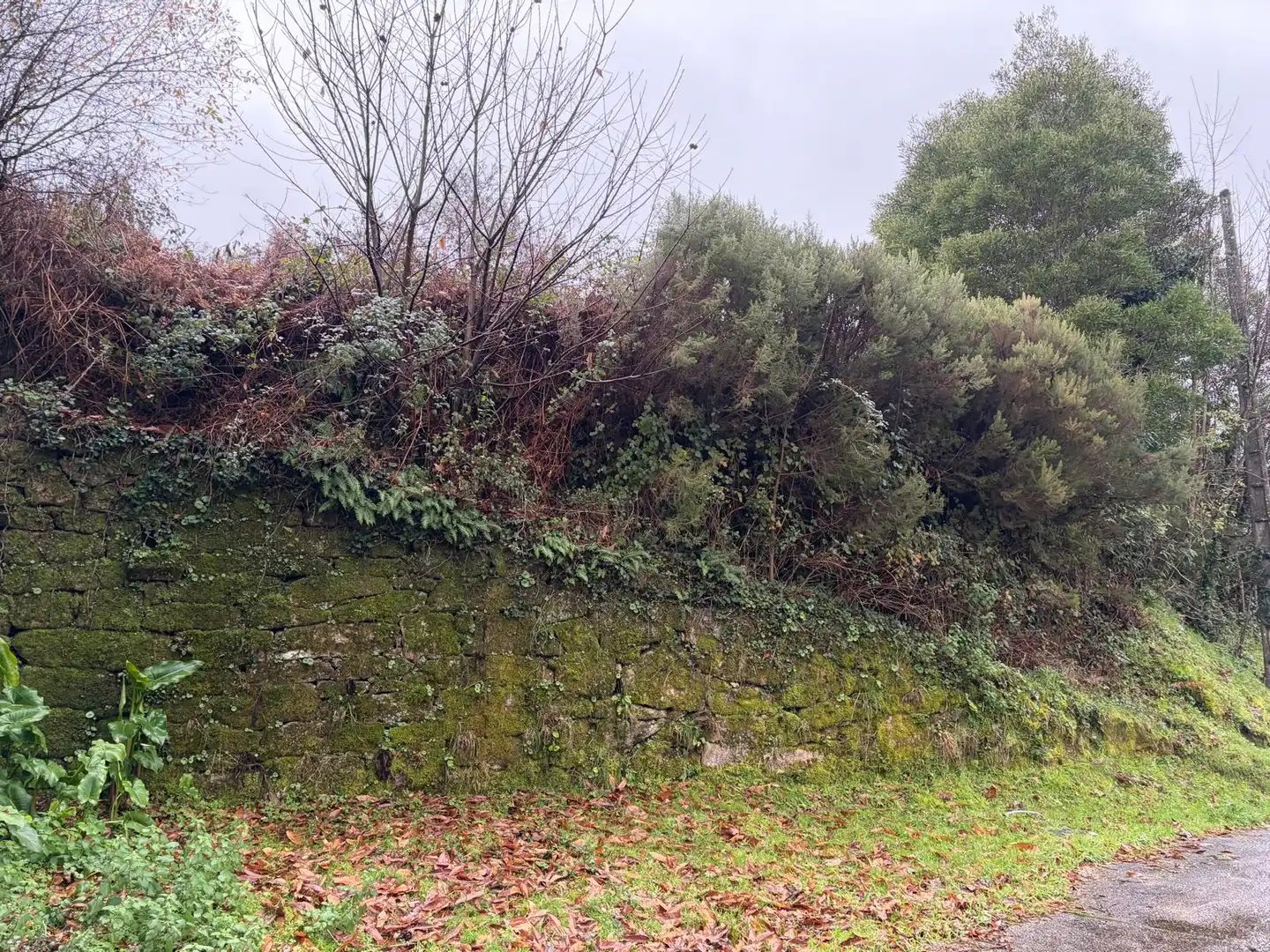 Casa o xalet en venda en Covelo amb Jardí privat