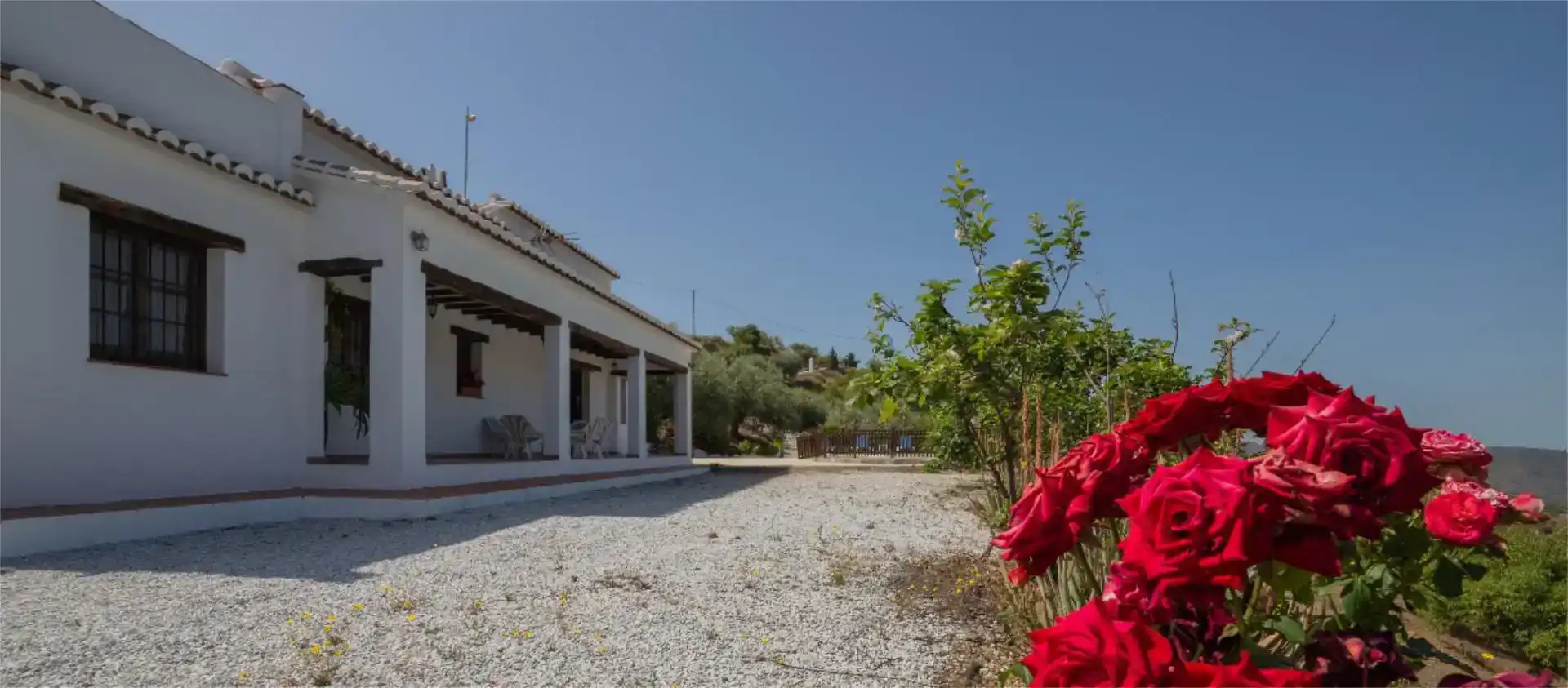 Jardí de Casa o xalet de lloguer en Sedella amb Jardí privat, Traster i Piscina