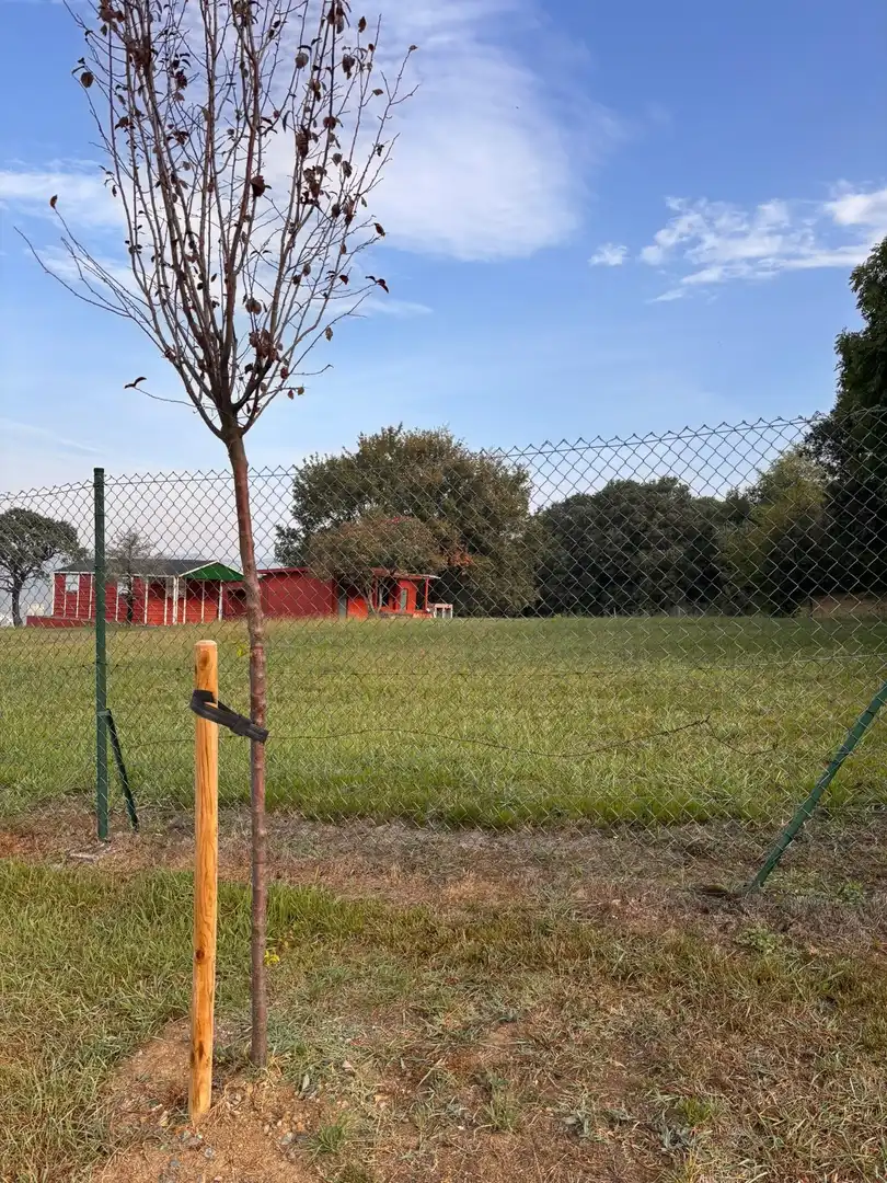 Rural land for sale in Erandio, imagen 7