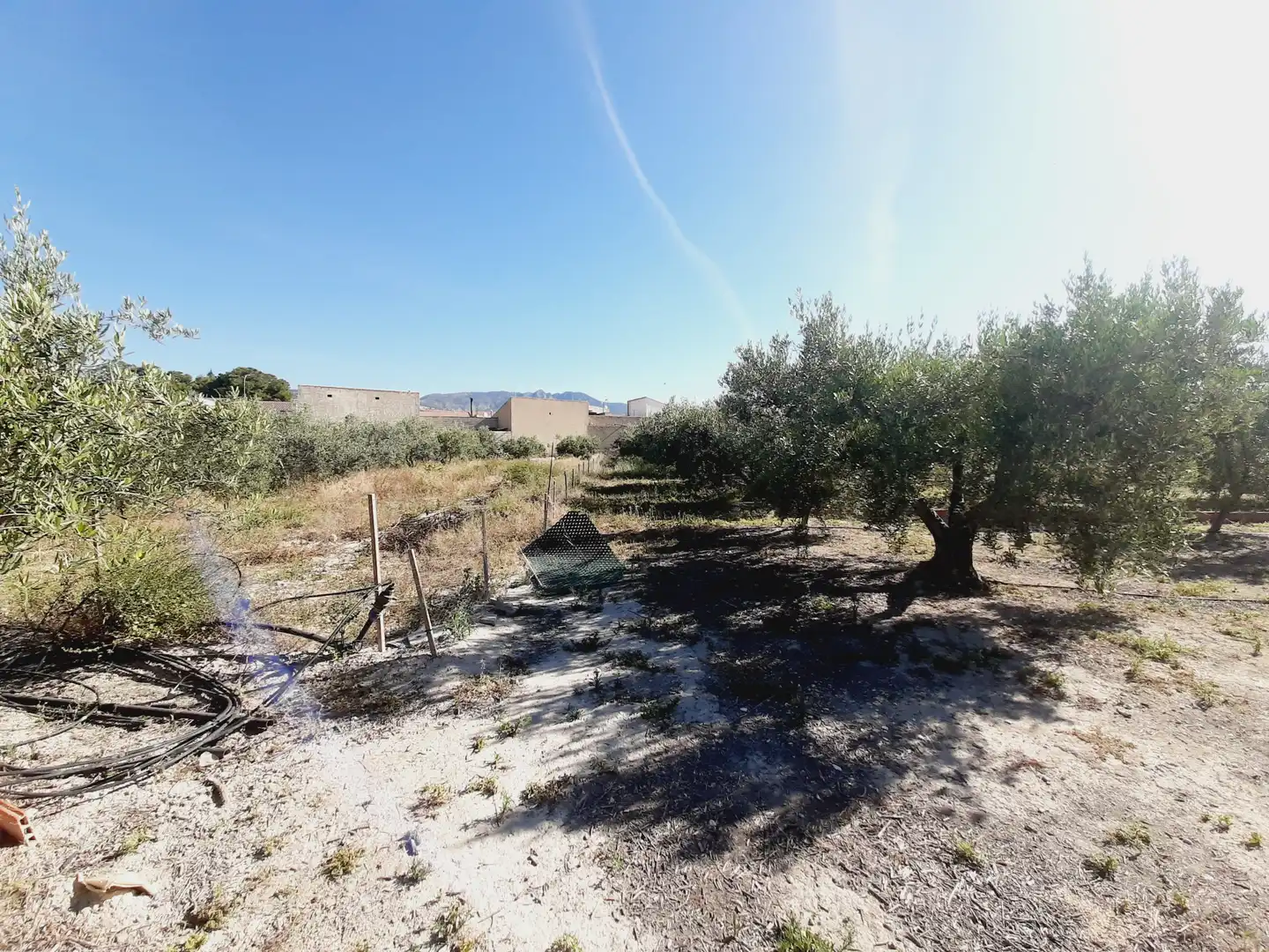 Lands and plots for sale in Mula, imagen 8