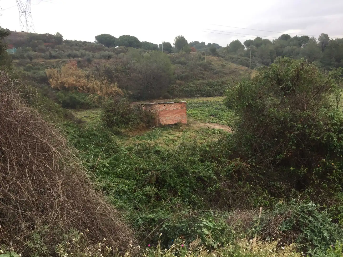 Terrain rustique à vendre à C/ Salze, imagen 6