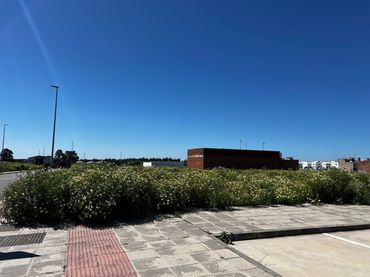 Terrenos y solares en venta en Los Palacios y Villafranca