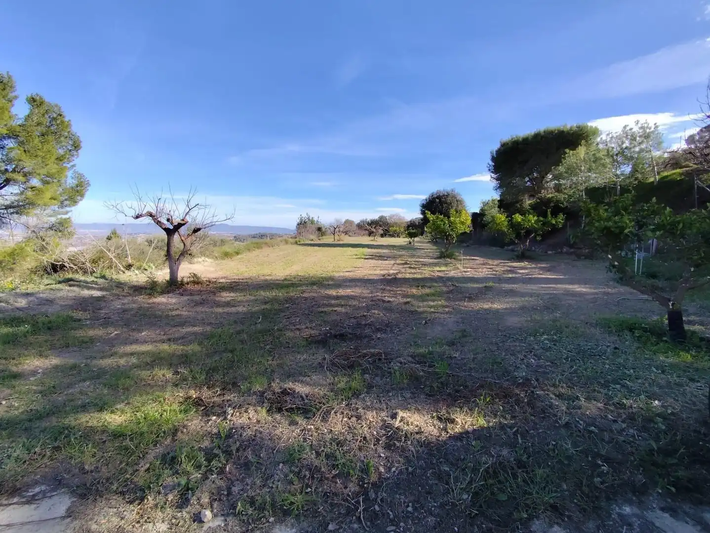 Terreno residenziale in vendita a Agullent, imagen 9