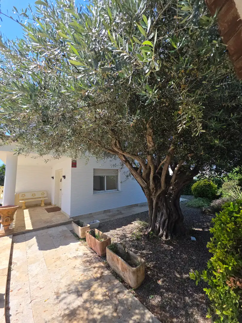 Vista exterior de Casa o chalet en venta en El Masnou con Calefacción, Jardín privado y Parquet