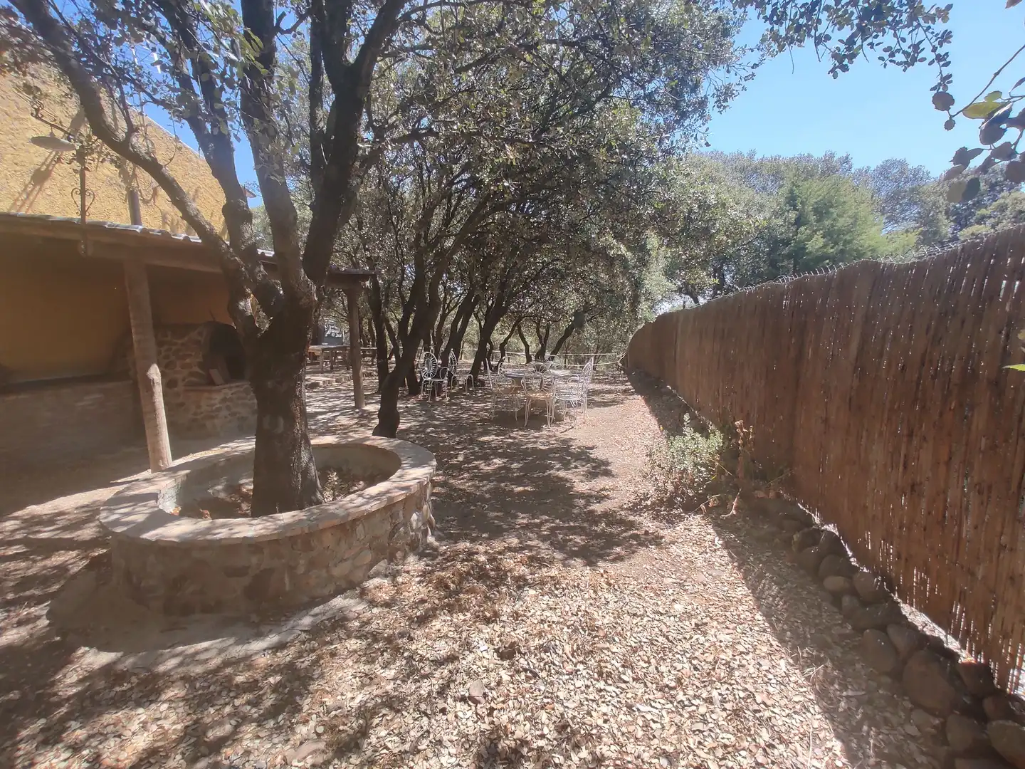 Jardín de Finca rústica en venta en Málaga del Fresno