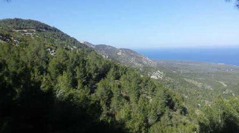 Photo 3 of Land for sale in Palava, Bancalet de Enrique, Ribamar, Ameler, S/n, Alcossebre, Castellón