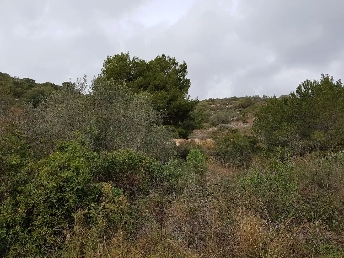 Terreny residencial en venda a Carrer Vallès 5, imagen 2
