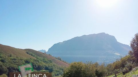 MorcínTerreno, immagine 5
