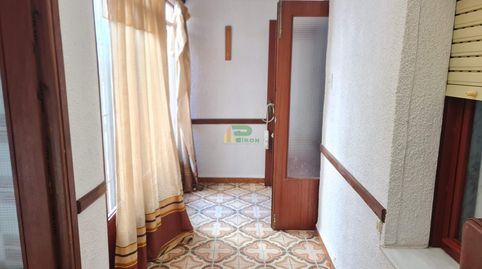 TotanaPlantabaja, imagen 5