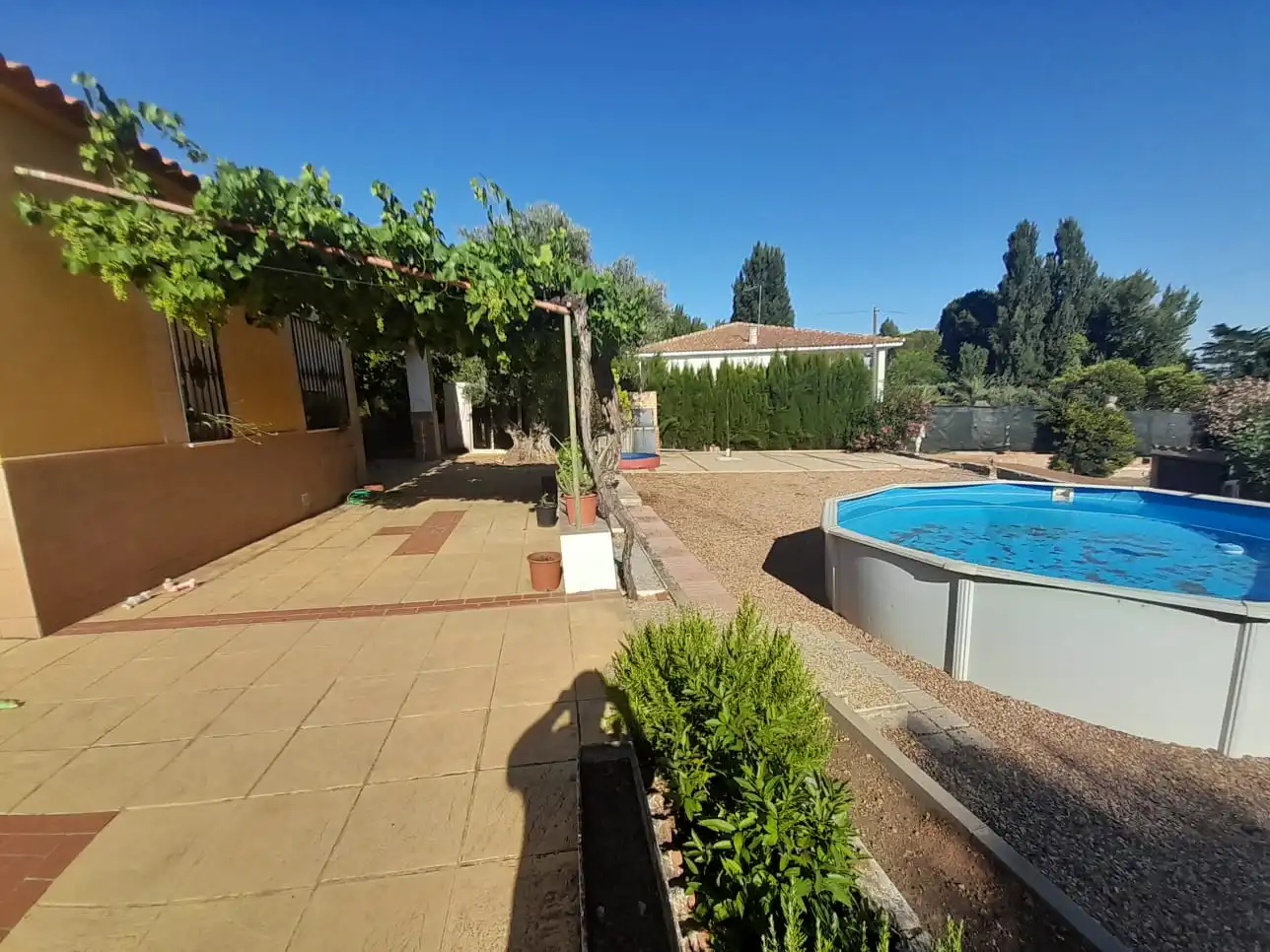 Piscina de Finca rústica en venta en Almodóvar del Campo con Trastero, Piscina y Amueblado