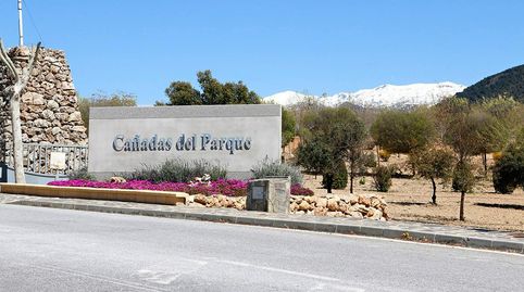 Parcela en Cañadas del Parque