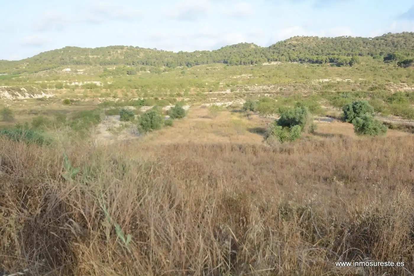 Terreno rústico en venta en Desamparados - Hurchillo - Torremendo, imagen 4