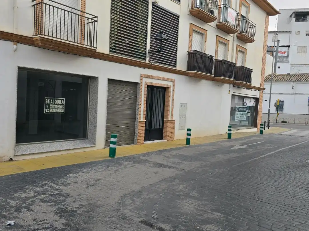 Commercial properties for rent in Calle Esmeralda, 2, Rute