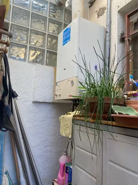 Maison mitoyenne à vendre à Mas d'en Gall, imagen 19