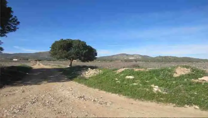 Rural land for sale in Pd Alciri, imagen 17