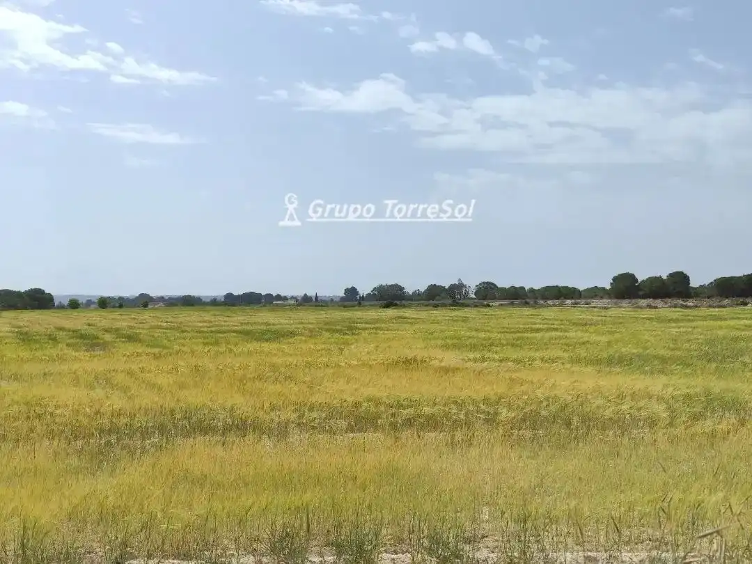 Terreno en venta en Elche / Elx