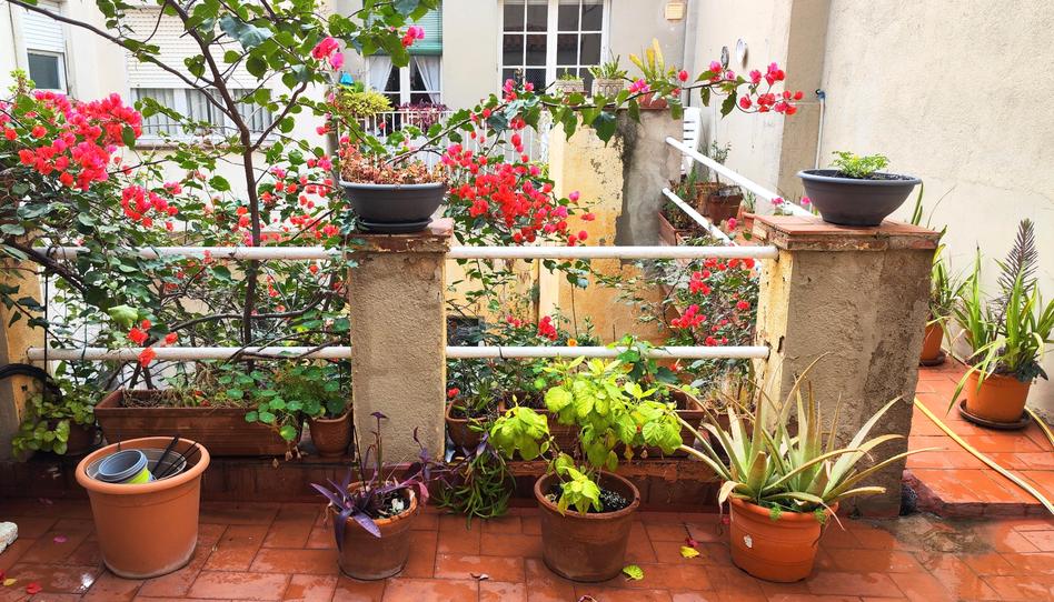 Foto 1 de Casa o chalet en venta en Ca n'Aurell, Barcelona