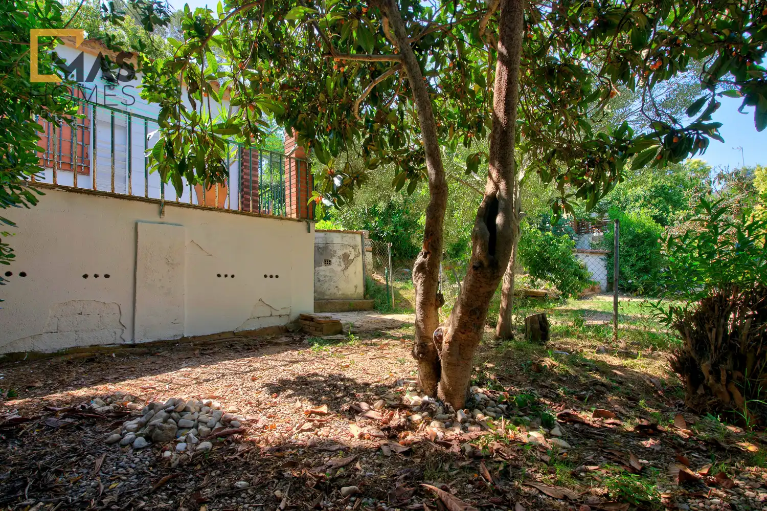 Jardí de Casa o xalet en venda en Sant Cugat del Vallès amb Jardí privat i Piscina