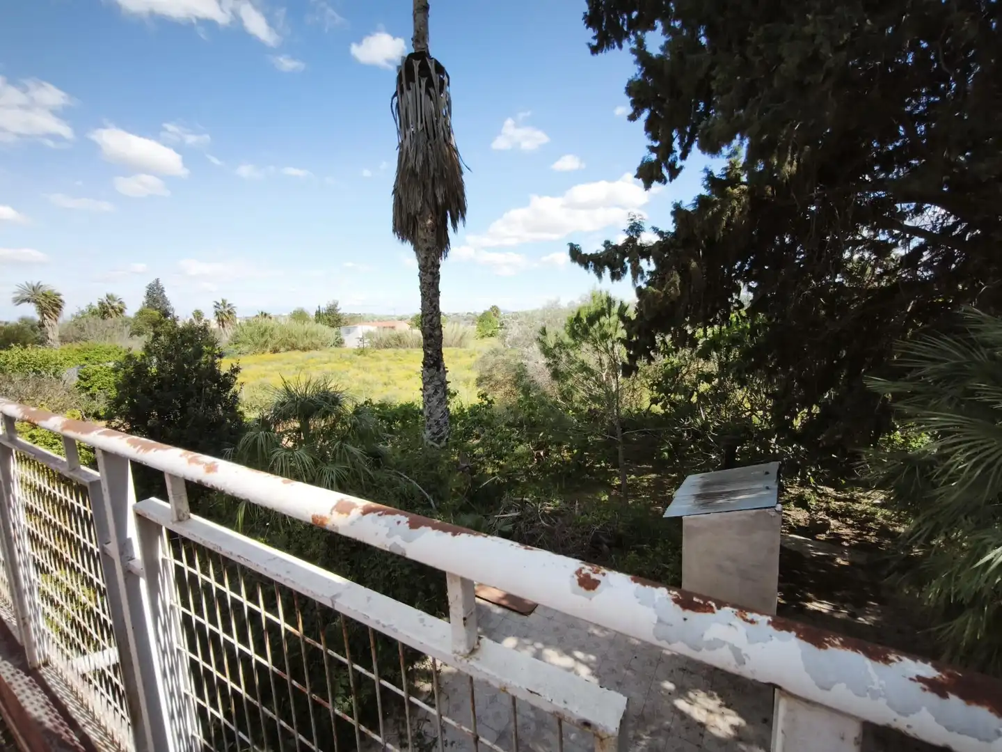 Garden of Houses for sale in Molina de Segura