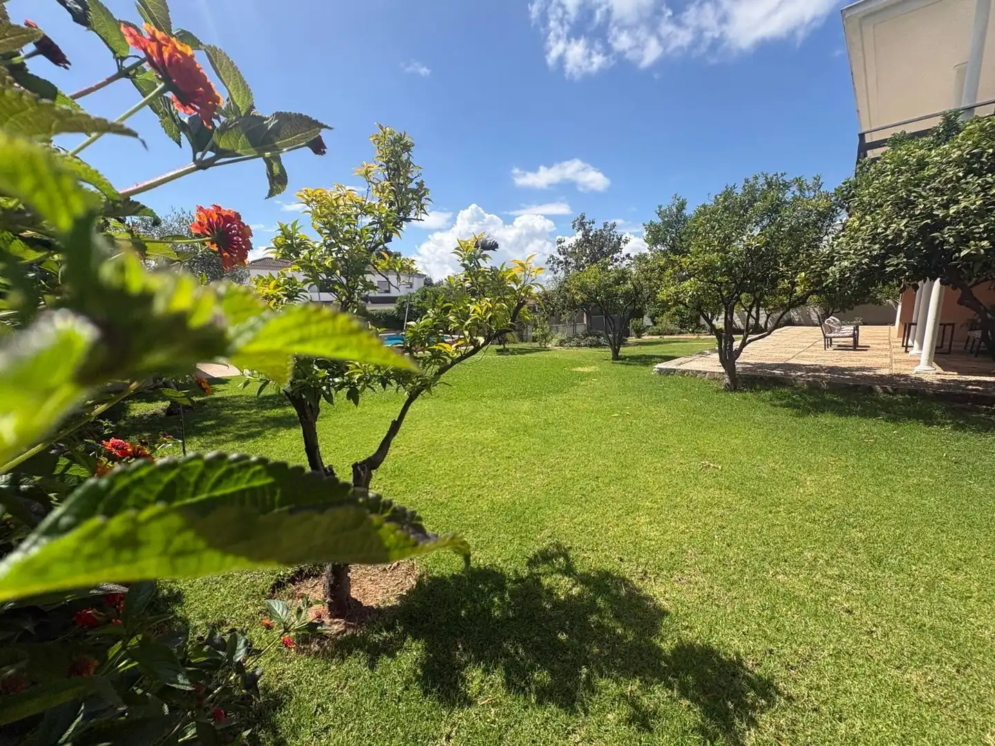 Chalet con piscina en venta en Norte-Sierra, imagen 7