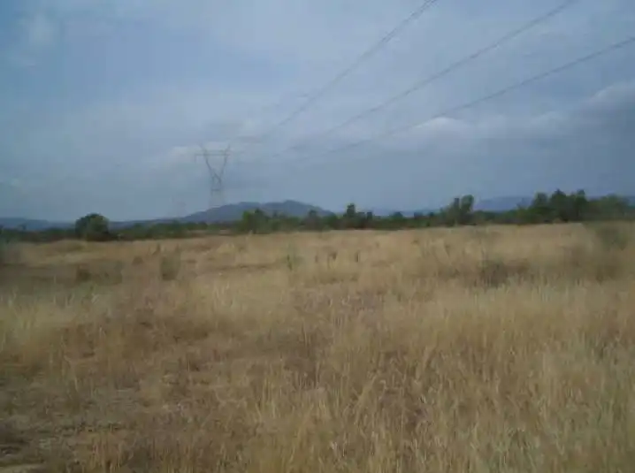 Terreny rústic en venda a Paraje Figuereta, imagen 7