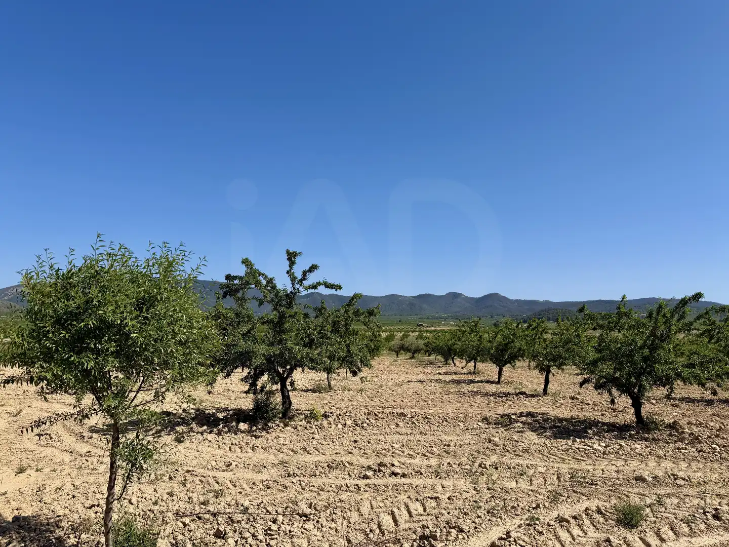 Grundstücke und Bauplätze zum Verkauf in Ricote, imagen 6