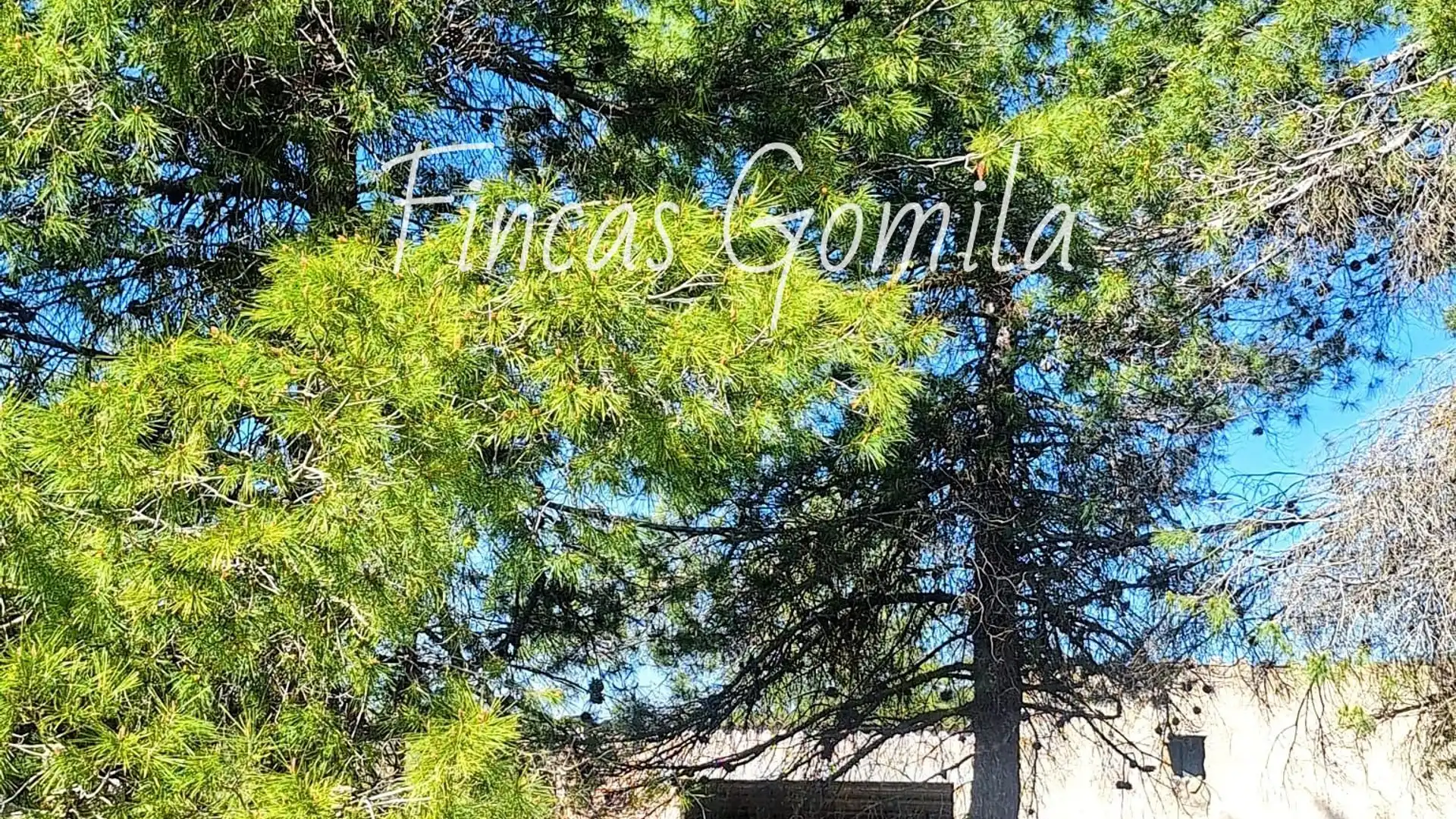 Land for sale in Cervià de Les Garrigues