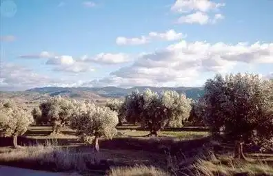 Terreni e lotti in vendita a Villanueva de la Serena