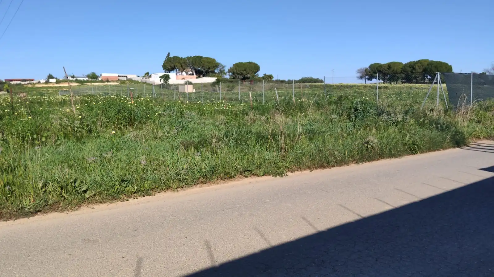 Rural land for sale in Coria del Río