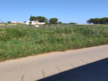 Rustikales Grundstück zum Verkauf in Coria del Río