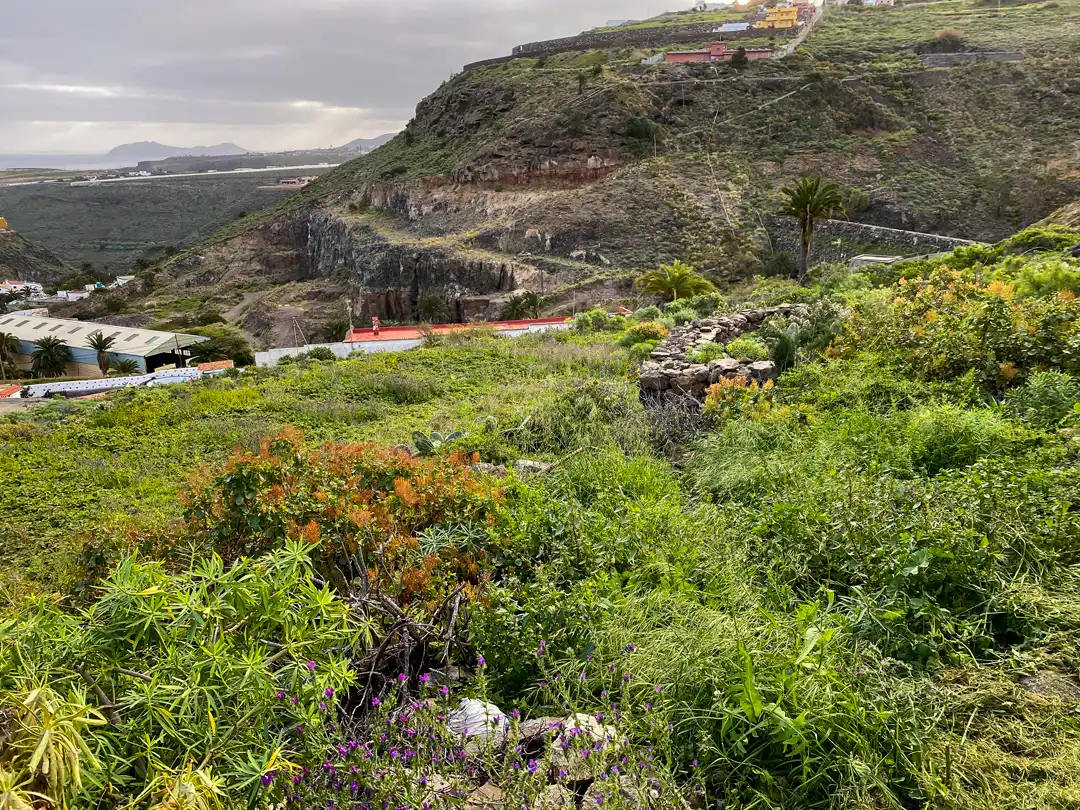 Vista exterior de Finca rústica en venta en Moya (Las Palmas)